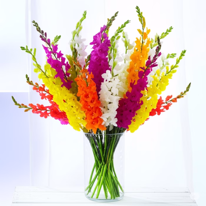 Beyaz Zambakların Saflığı